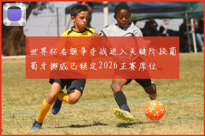 世界杯名额争夺战进入关键阶段葡萄牙挪威已锁定2026正赛席位