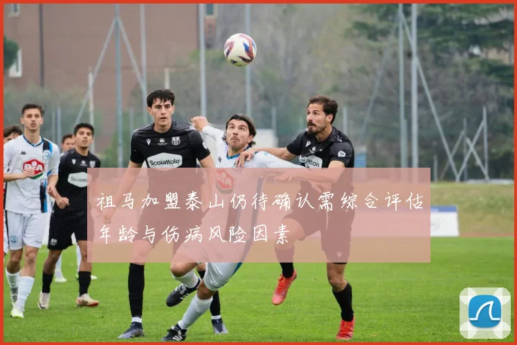 祖马加盟泰山仍待确认需综合评估年龄与伤病风险因素